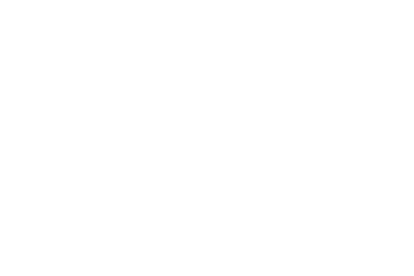 IATA Logo